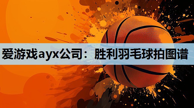 爱游戏ayx公司：胜利羽毛球拍图谱