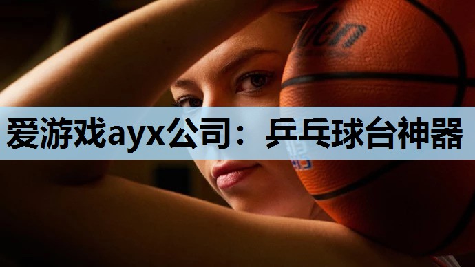 乒乓球台神器 乒乓球台神器