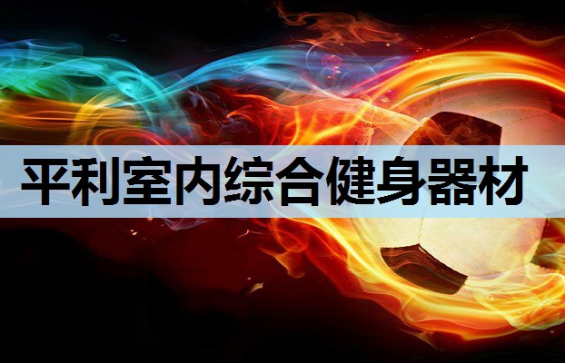 平利室内综合健身器材 平利室内综合健身器材