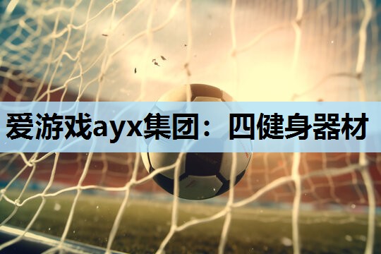 四健身器材 四健身器材