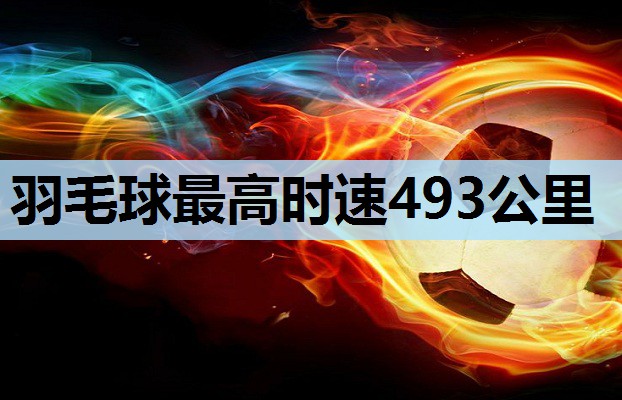 羽毛球最高时速493公里