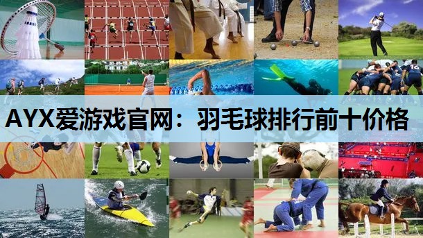 羽毛球排行前十价格