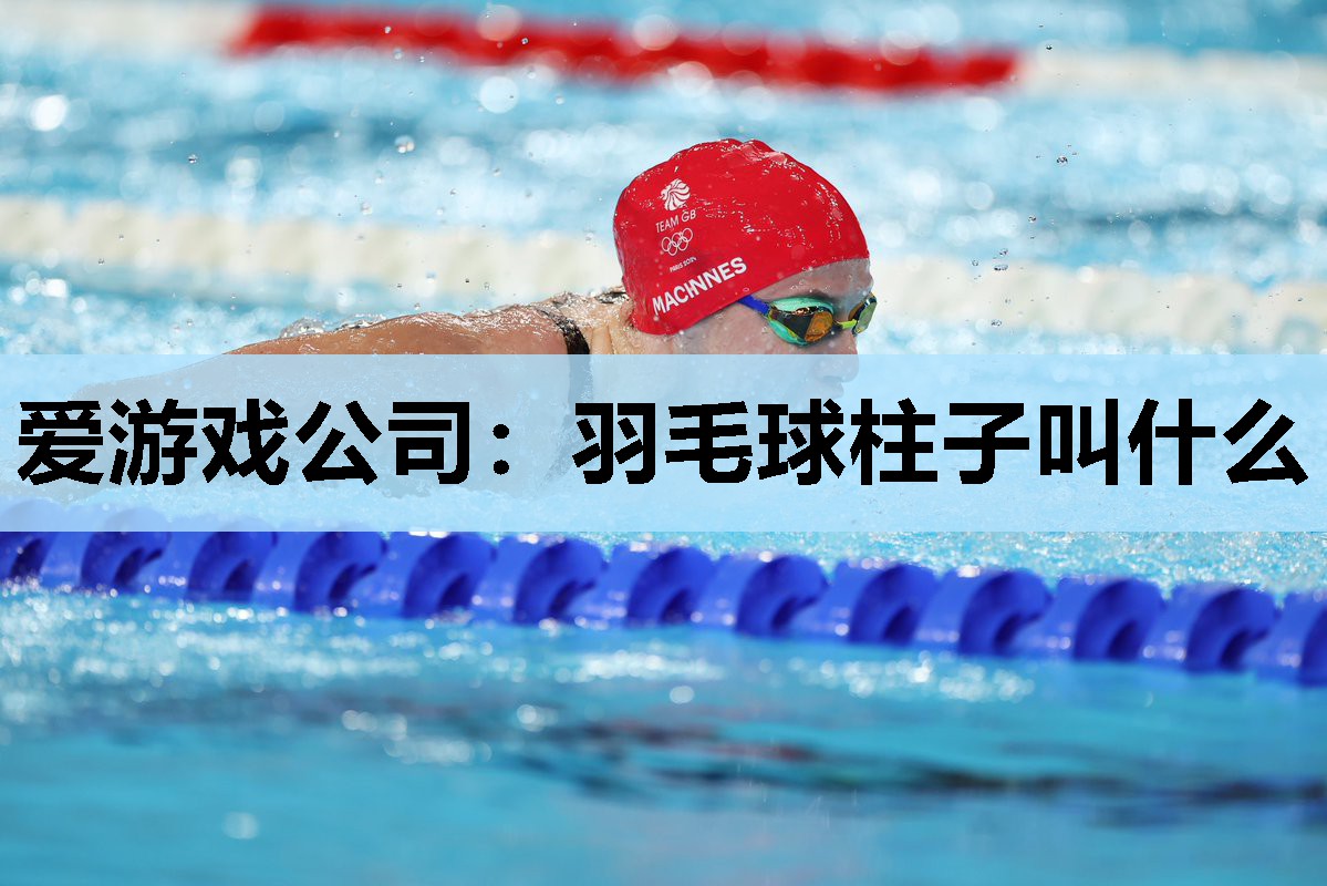 羽毛球柱子叫什么 羽毛球柱子叫什么