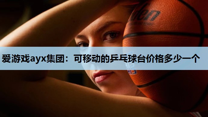 可移动的乒乓球台价格多少一个 可移动的乒乓球台价格多少一个