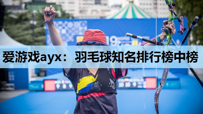 羽毛球知名排行榜中榜 羽毛球知名排行榜中榜